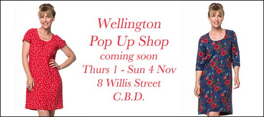Moa pop up shop in Wellington.  1st- 4th November