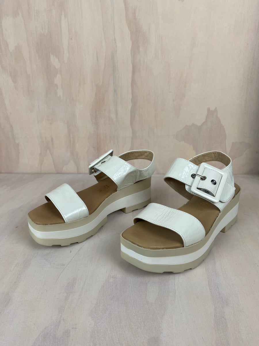 Repo Vanilla Buckle Sandal | LAST PAIR Size 41